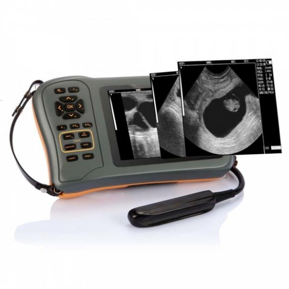 Versatile Ultrasound Machine for Small and Large Animal Scanning CBMVU42